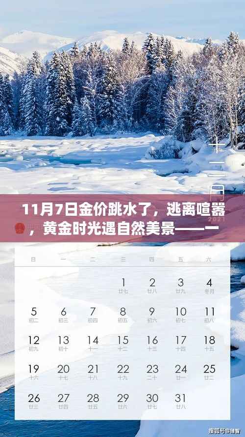 项目介绍 第694页