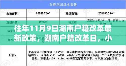 湖南户籍改革日揭秘,小迁的趣事与情感纽带,最新政策解读