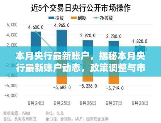 揭秘本月央行最新账户动态,政策调整与市场反应全面解析