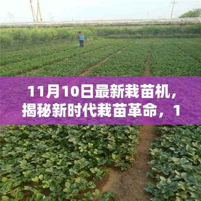 揭秘新时代栽苗革命,最新栽苗机的高科技魅力与体验