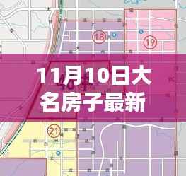 11月10日大名房子最新出售价格详解,查询步骤与房价动态掌握
