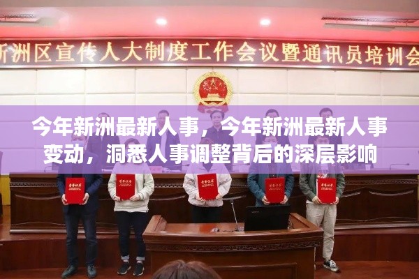 今年新洲人事大调整,洞悉深层影响与最新变动
