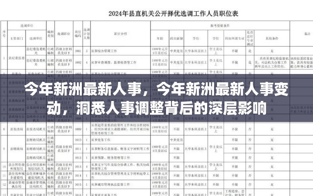 今年新洲人事大调整,洞悉深层影响与最新变动
