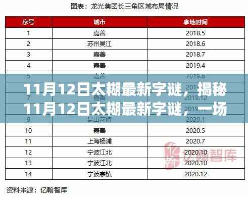 揭秘太糊最新字谜,文字游戏的魅力与挑战,11月12日独家解析!