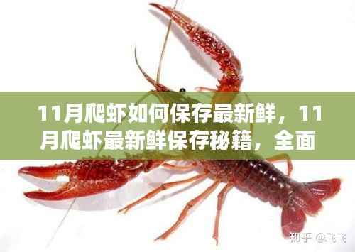 初遇在故事开头 第3页