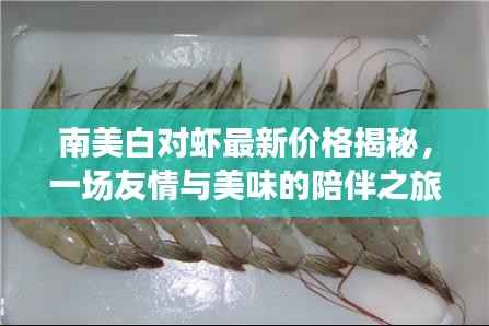 南美白对虾最新价格揭秘,一场友情与美味的陪伴之旅