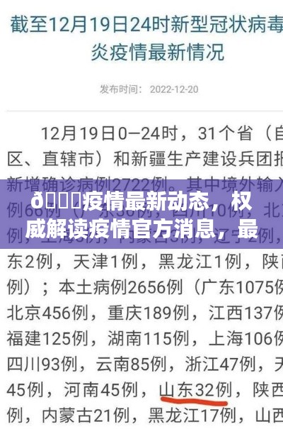 🌟疫情最新动态,权威解读疫情官方消息,最新动态尽在掌握🌟(日期,2024年11月15日)