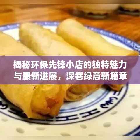 揭秘环保先锋小店的独特魅力与最新进展,深巷绿意新篇章(环保5进展报道)