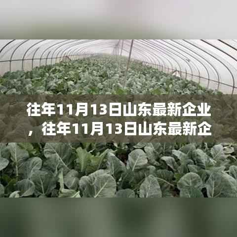 山东最新企业评测报告,产品特性、用户体验与目标用户群体的全面解读(日期,往年11月13日)