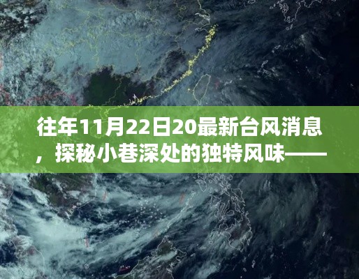 台风之日的惊喜,探秘小巷风味与最新动态