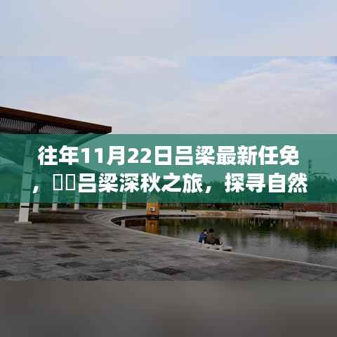 达官贵人 第3页