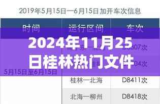 揭秘桂林之光,揭秘桂林热门文件的诞生与影响(2024年11月25日)