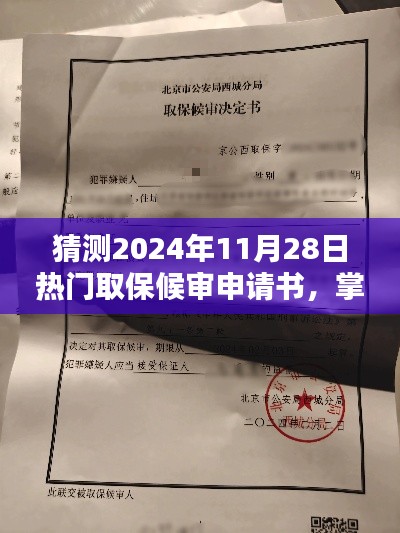 猜测2024年11月28日热门取保候审申请书,掌握未来趋势,2024年热门取保候审申请书预测与深度解析