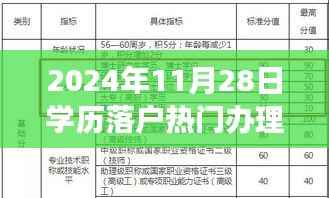 探秘学历落户宝藏,2024年11月28日热门办理之旅揭秘!