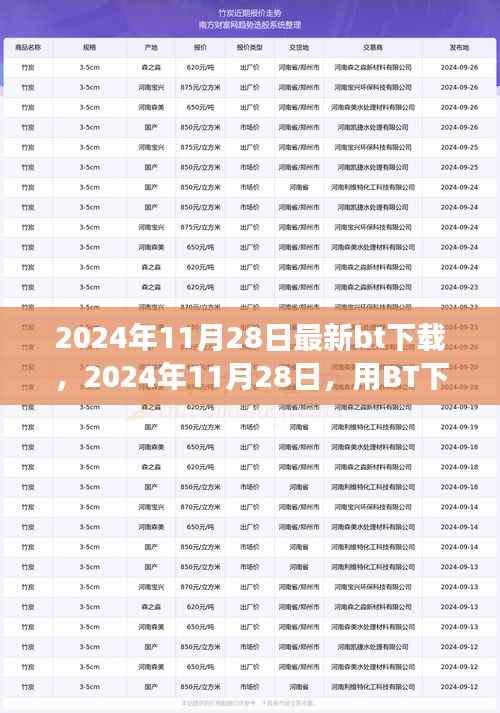 2024年11月28日BT下载新体验,探索自然美景,寻找内心平和绿洲