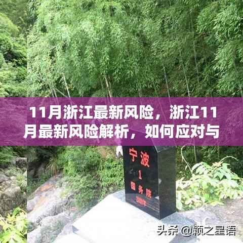 浙江11月最新风险解析及应对策略与观点阐述