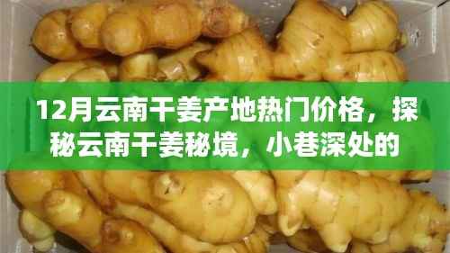 探秘云南干姜产地,秘境小巷中的独特风味与惊喜价格揭秘