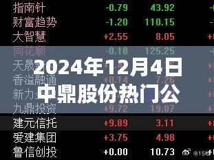 中鼎股份2024年12月4日热门公告详解,展望要点、动态与影响分析