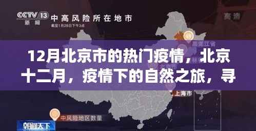 北京十二月疫情下的自然之旅,寻找内心宁静与力量
