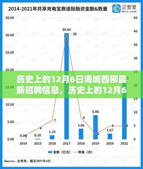 历史上的12月6日海城西柳最新招聘信息深度解析及解读