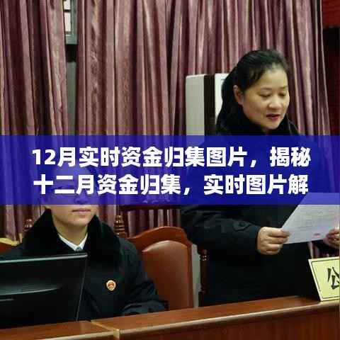 揭秘十二月资金实时归集,实时图片解读与洞察报告