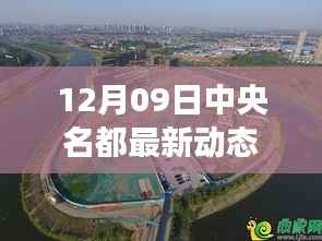 12月09日中央名都最新动态深度解读,多维视角透视