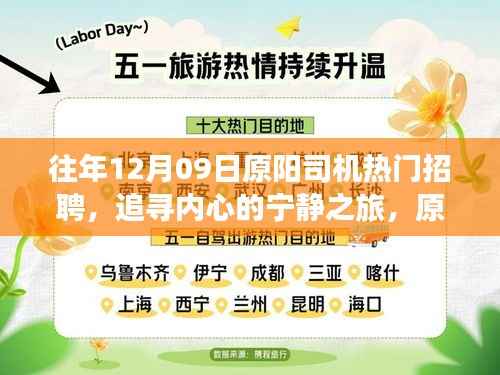 原阳司机招聘热潮背后的美景探索与心灵宁静之旅揭秘