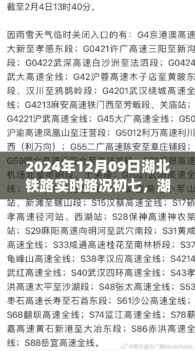 湖北铁路实时路况初七深度观察,2024年12月09日的分析与思考