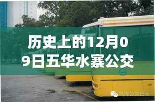 探秘五华水寨公交时光,隐匿小巷的特色风情与实时查询指南