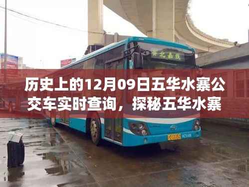 探秘五华水寨公交时光,隐匿小巷的特色风情与实时查询指南