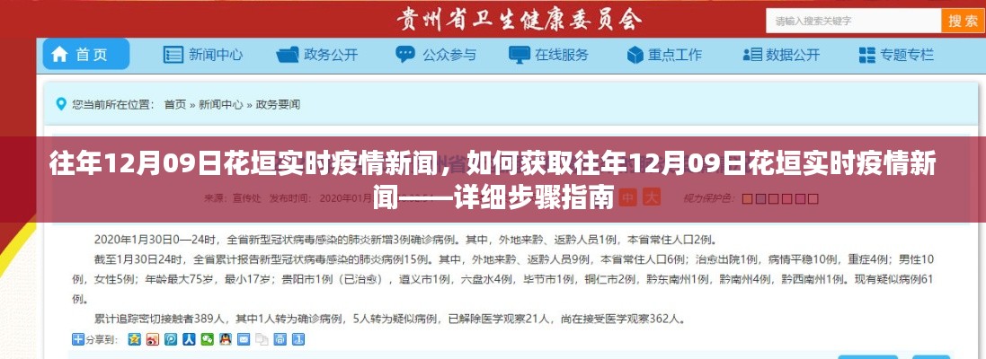 往年12月09日花垣实时疫情新闻获取指南，详细步骤与最新动态速递