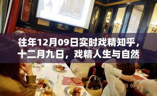 戏精人生与自然的奇妙相遇,十二月九日实时戏精知乎