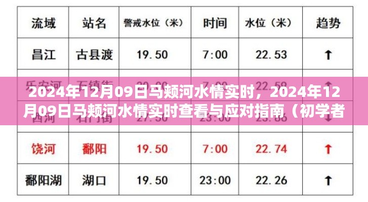 马颊河水情实时查看与应对指南,初学者与进阶用户通用(2024年12月09日版)