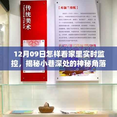 揭秘智能监控奥秘,家庭实时监控体验馆探秘,小巷深处的神秘角落