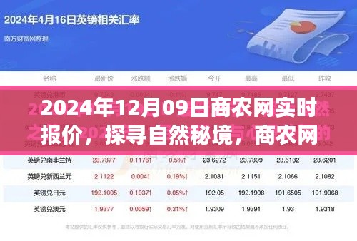 商农网实时报价探寻自然秘境启程心灵之旅(2024年12月09日)