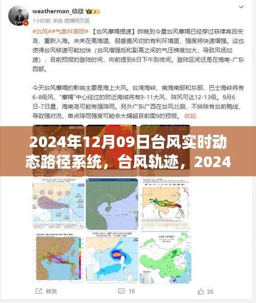 2024年台风实时动态追踪,路径系统、轨迹与风暴影响洞察