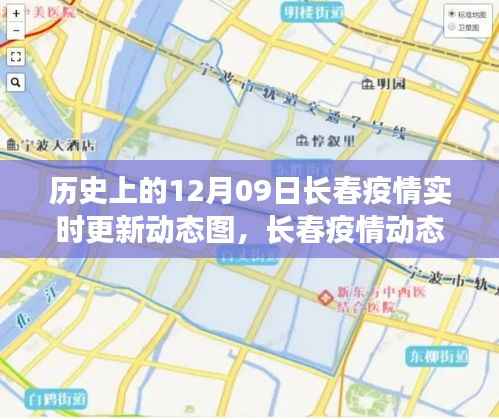历史上的长春疫情动态图,深度解读与反思