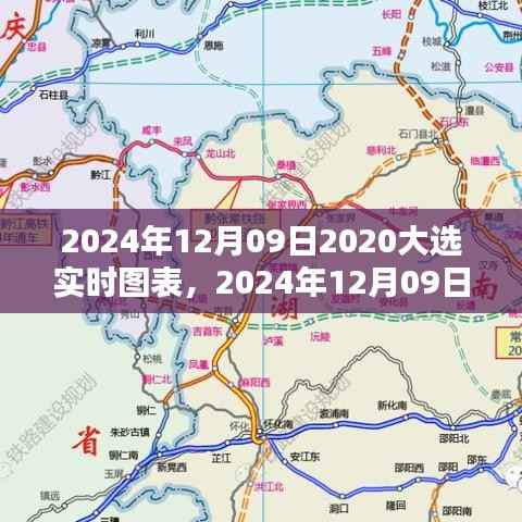 实时图表解析,全面评测与介绍2024年大选