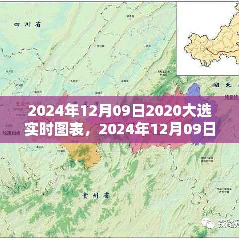 实时图表解析,全面评测与介绍2024年大选