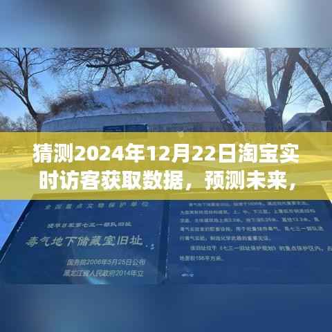 2024年淘宝实时访客数据洞察,预测未来趋势与深度解析