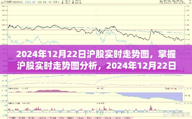 2024年12月22日沪股实时走势图解析及股市行情跟踪全攻略(适合初学者与进阶用户)