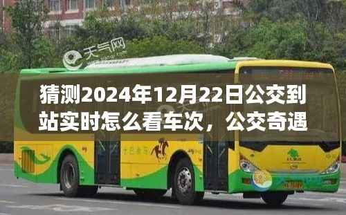 未来公交奇遇,实时车次查询与暖心约定的约定预测(2024年公交到站指南)