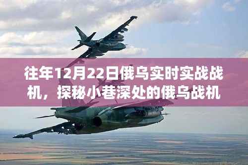 探秘俄乌战机实战体验馆,军事盛宴隐匿于喧嚣中的实战演练