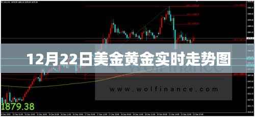 夫妻本是同林鸟 第2页