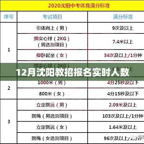沈阳教招报名实时人数统计(最新数据)