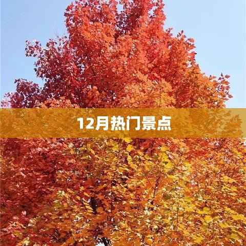 冬季必游热门景点推荐