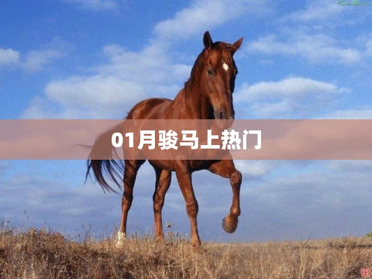 骏马上热门,1月最新动态揭秘