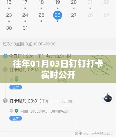 钉钉打卡实时公开数据(历年首月3日更新)
