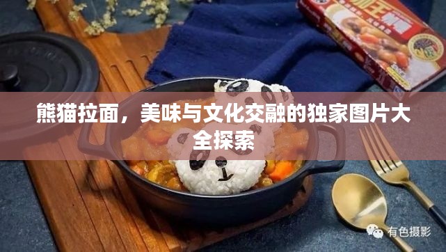熊猫拉面，美味与文化交融的独家图片大全探索