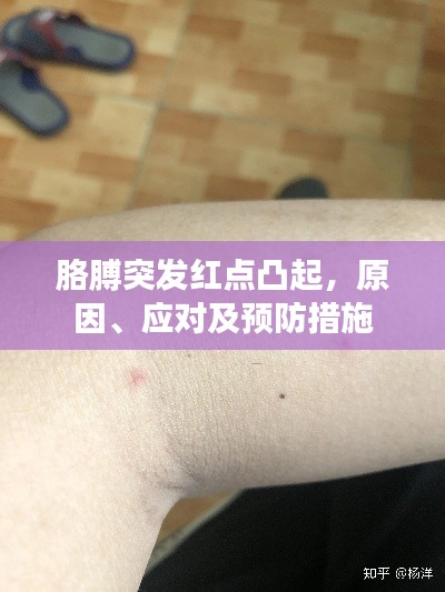 孜孜不倦 第2页